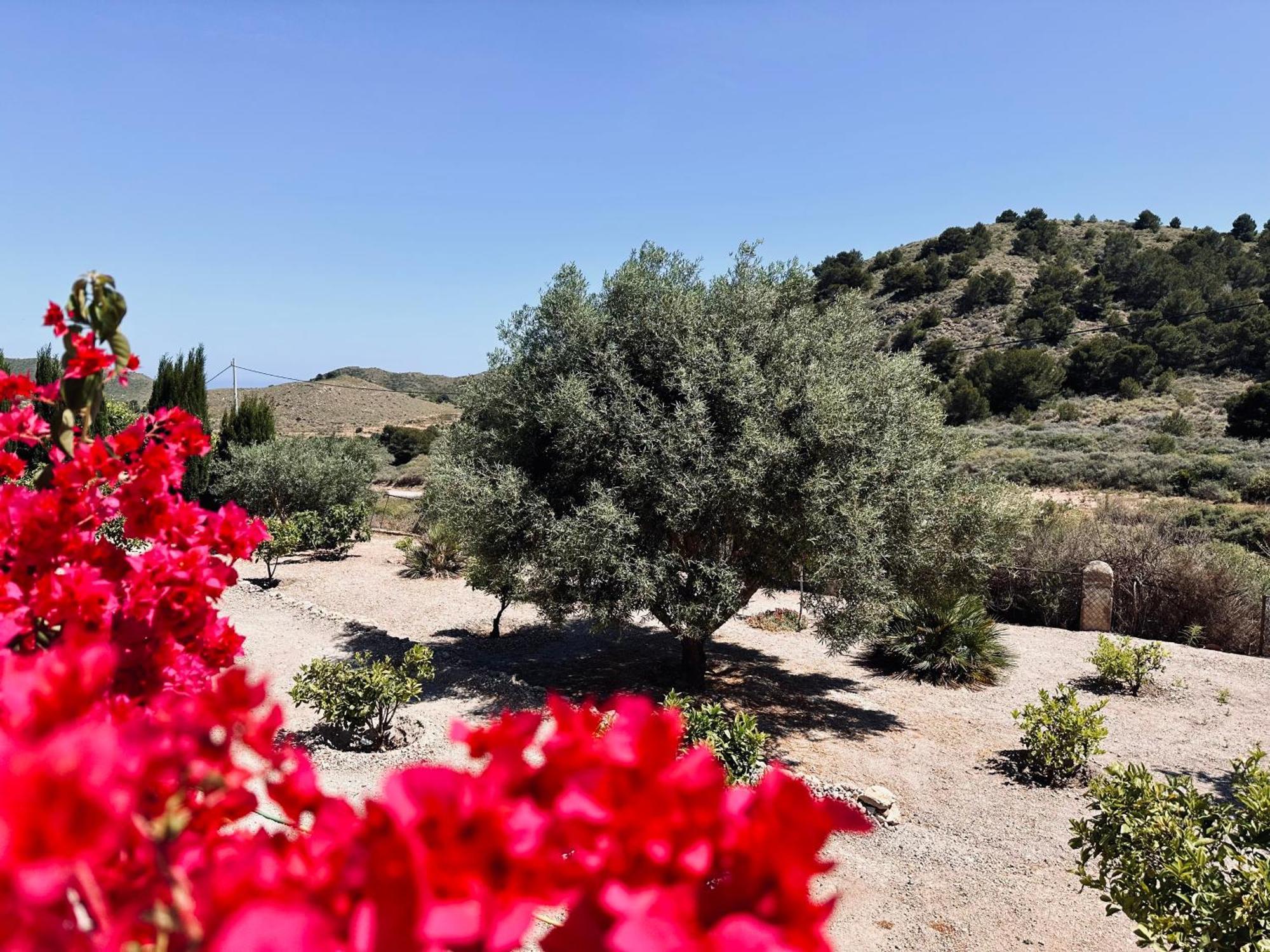 Finca Ocha - Calblanque Los Belones Εξωτερικό φωτογραφία