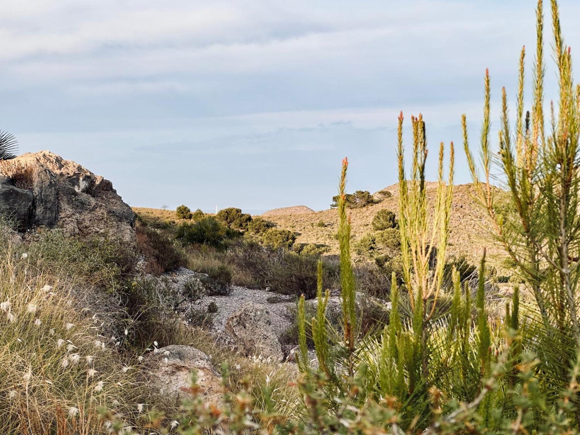 Finca Ocha - Calblanque Los Belones Εξωτερικό φωτογραφία