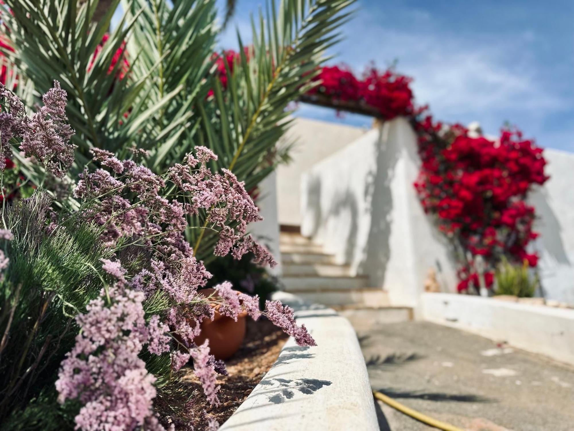 Finca Ocha - Calblanque Los Belones Εξωτερικό φωτογραφία