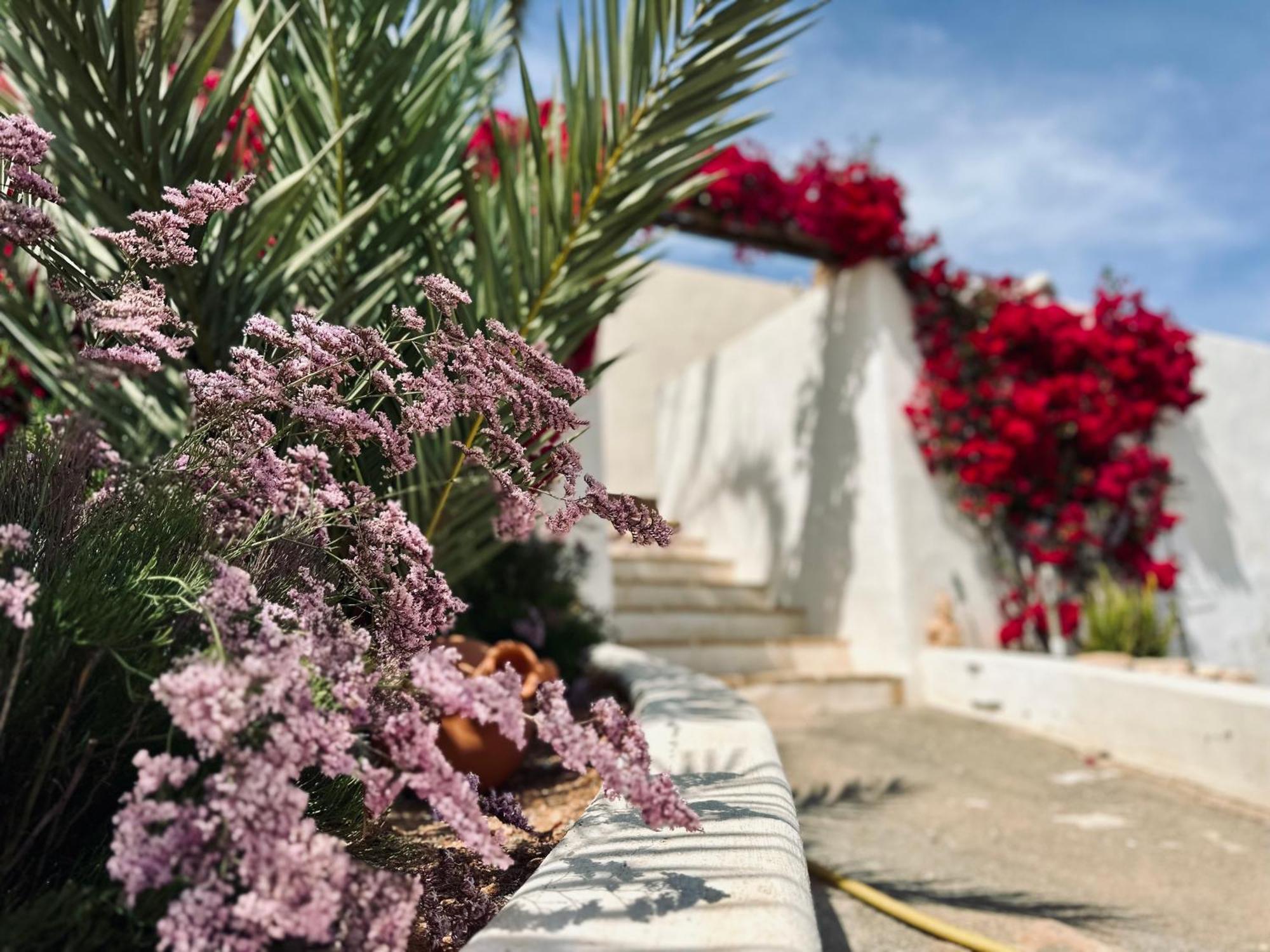 Finca Ocha - Calblanque Los Belones Εξωτερικό φωτογραφία