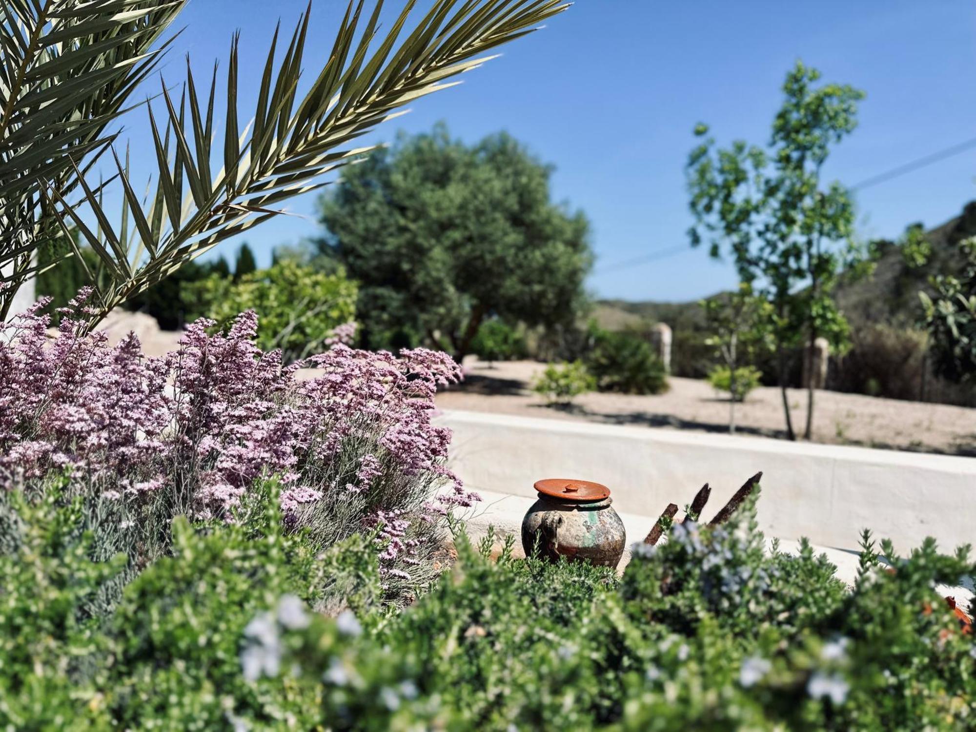 Finca Ocha - Calblanque Los Belones Εξωτερικό φωτογραφία