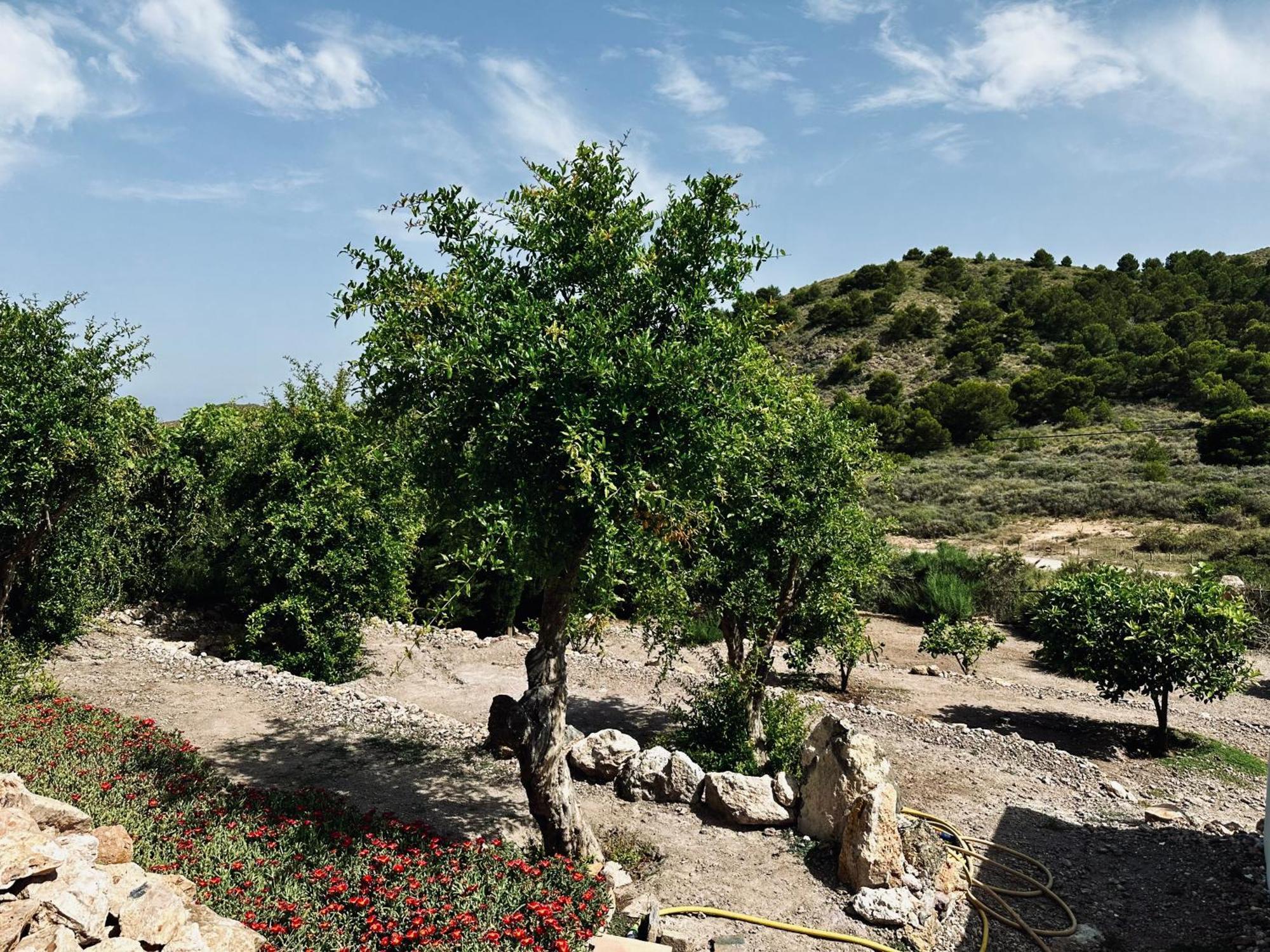 Finca Ocha - Calblanque Los Belones Εξωτερικό φωτογραφία