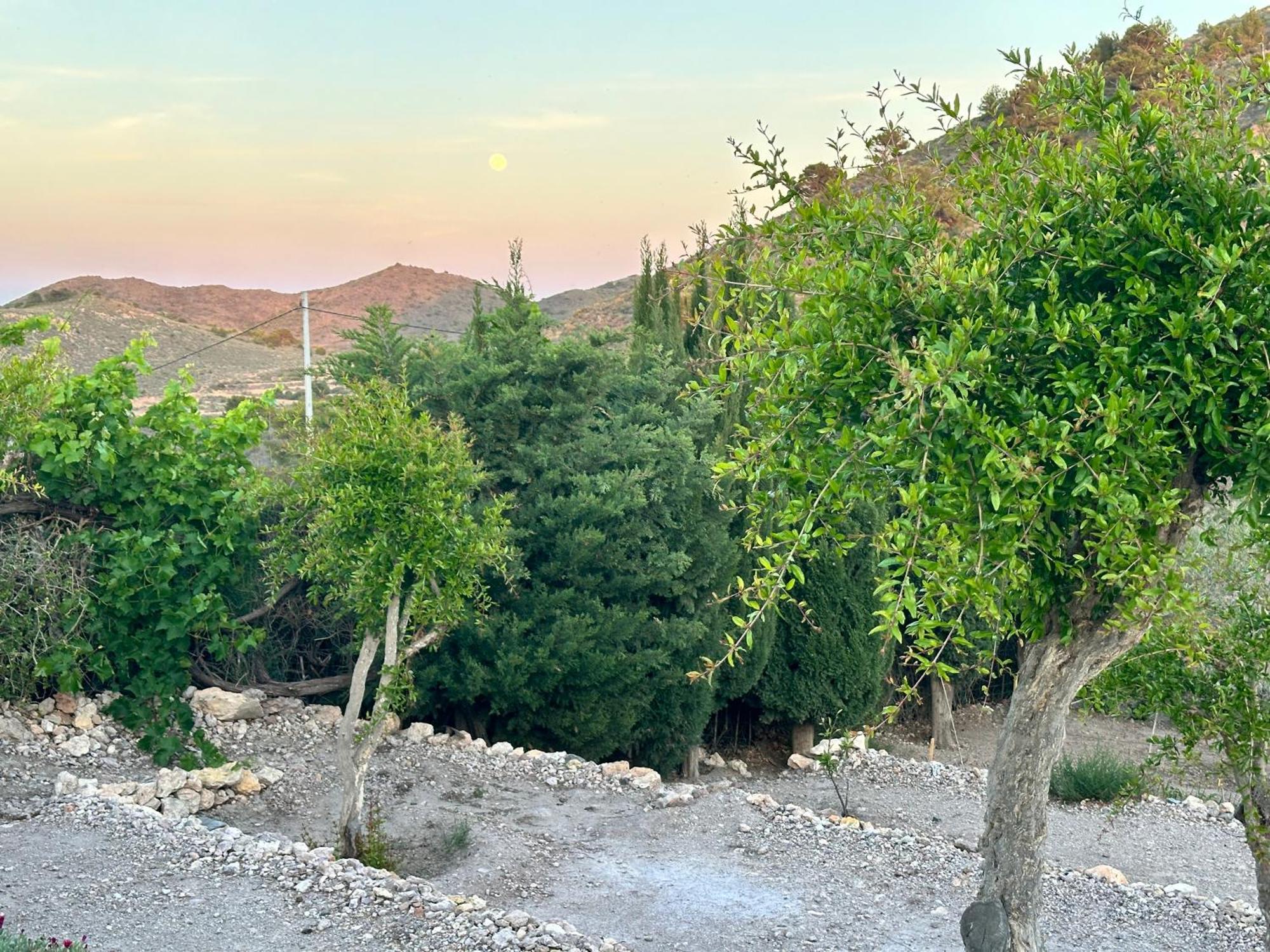 Finca Ocha - Calblanque Los Belones Εξωτερικό φωτογραφία