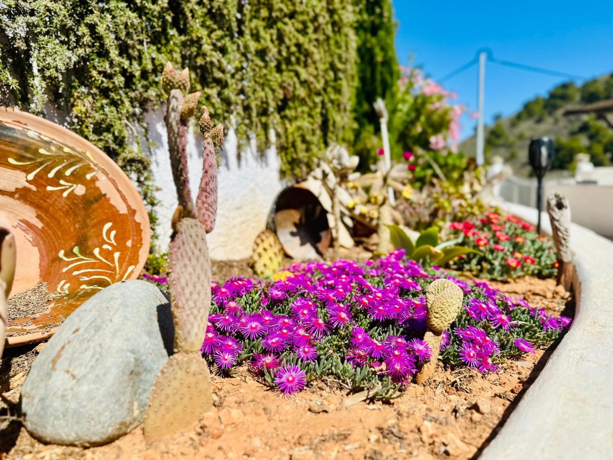 Finca Ocha - Calblanque Los Belones Εξωτερικό φωτογραφία