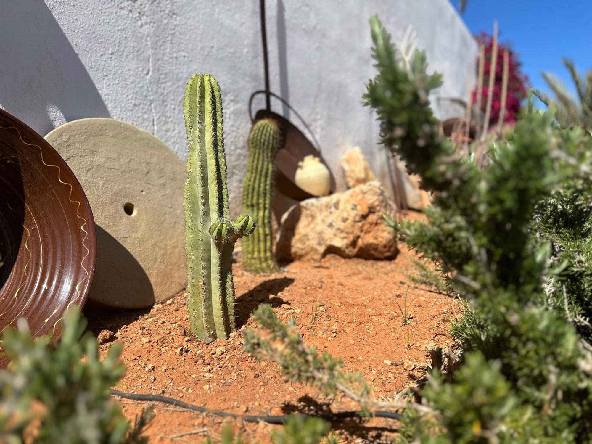 Finca Ocha - Calblanque Los Belones Εξωτερικό φωτογραφία