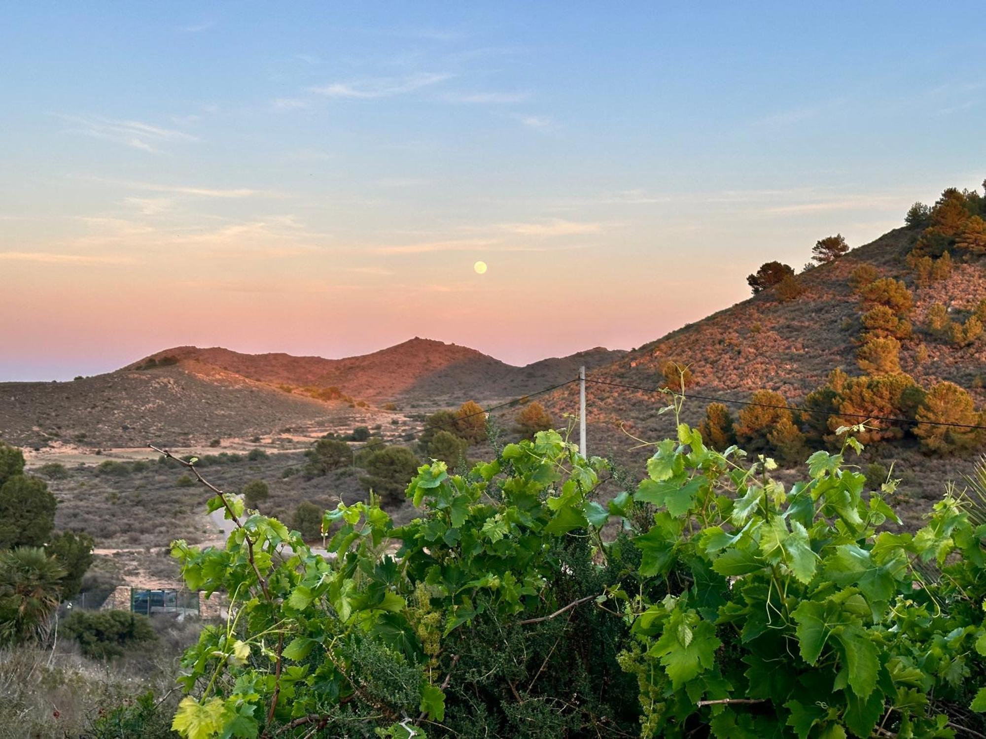 Finca Ocha - Calblanque Los Belones Εξωτερικό φωτογραφία