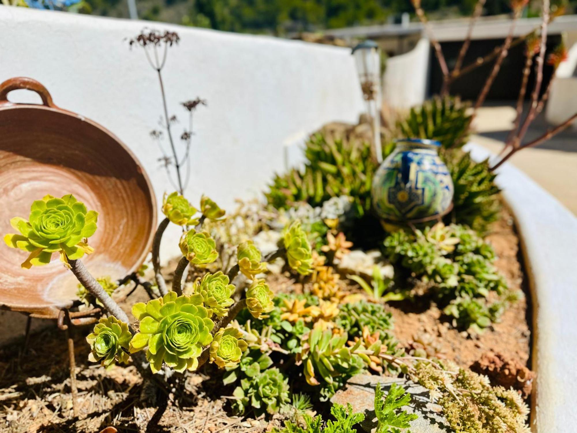 Finca Ocha - Calblanque Los Belones Εξωτερικό φωτογραφία