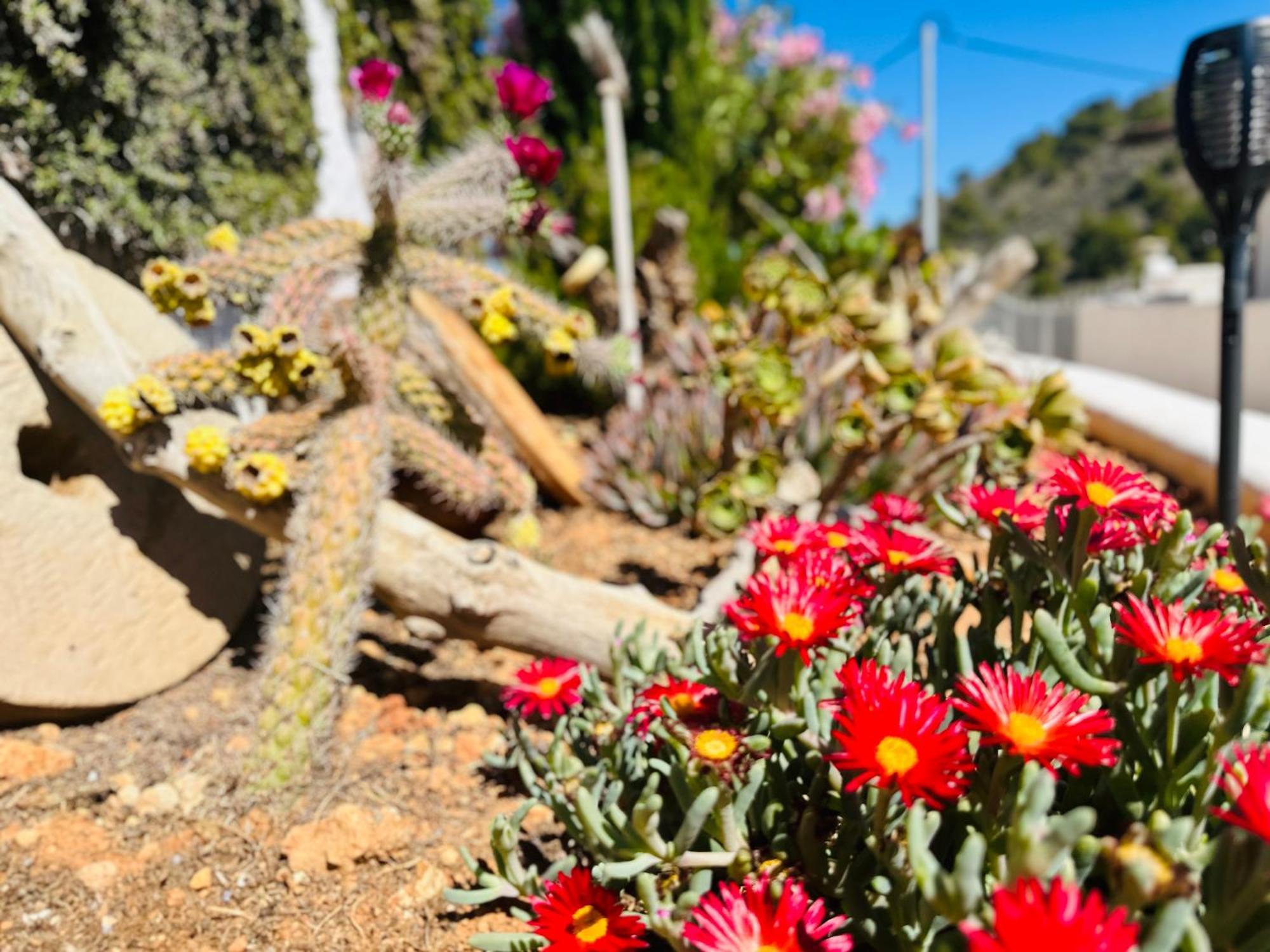 Finca Ocha - Calblanque Los Belones Εξωτερικό φωτογραφία