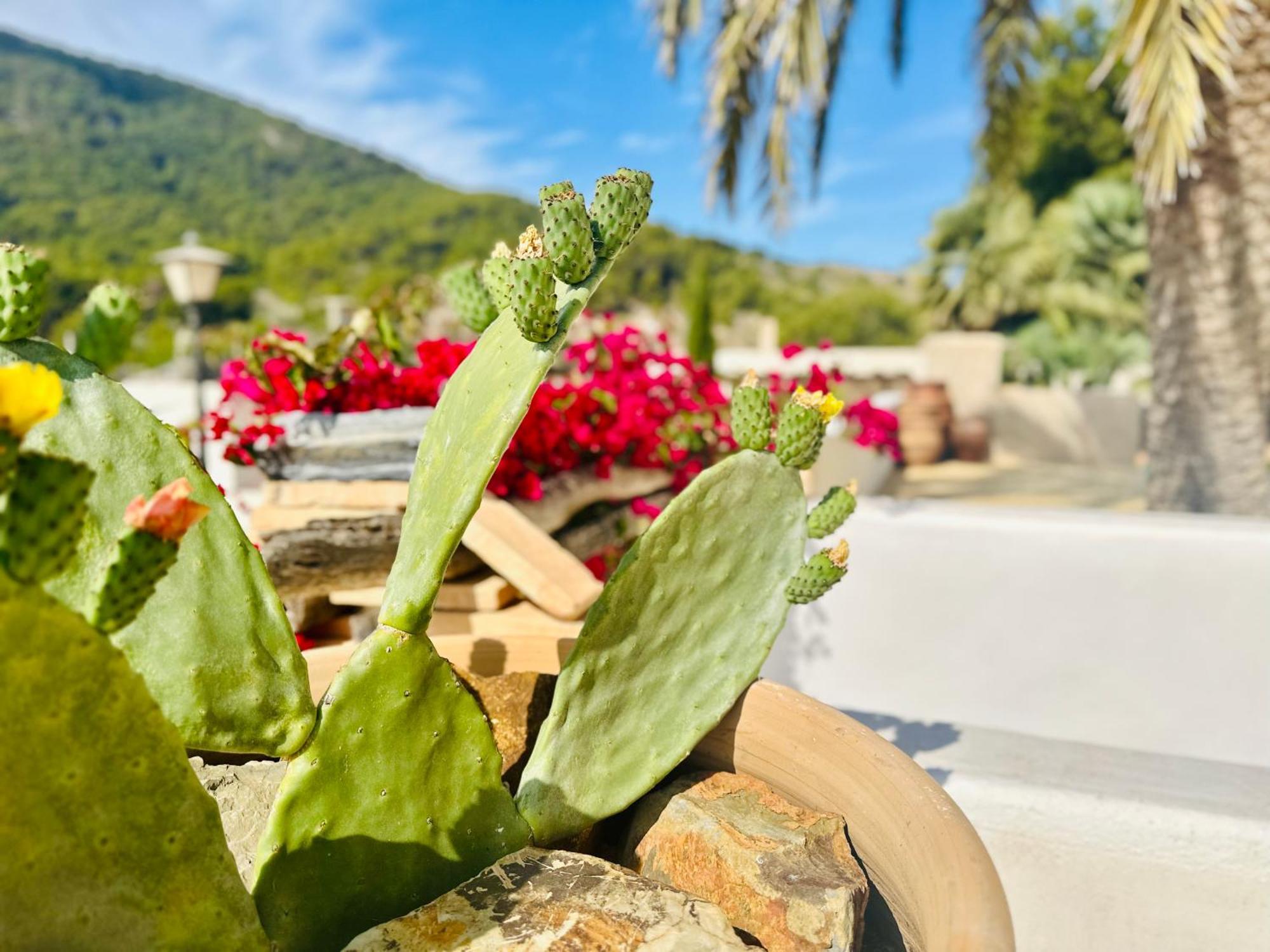 Finca Ocha - Calblanque Los Belones Εξωτερικό φωτογραφία