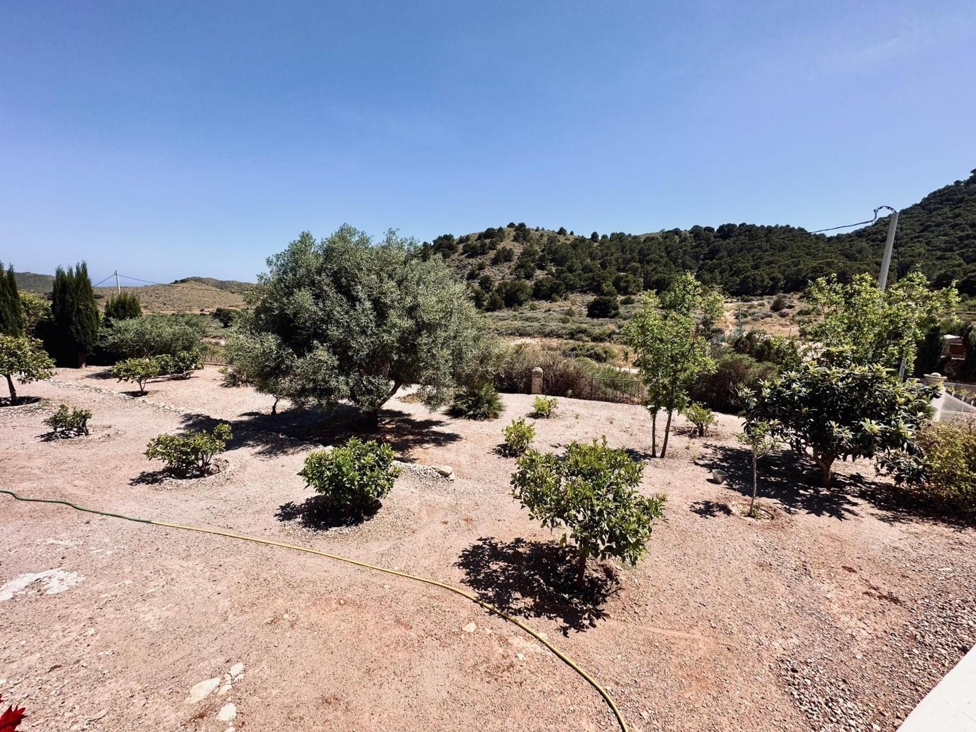 Finca Ocha - Calblanque Los Belones Εξωτερικό φωτογραφία