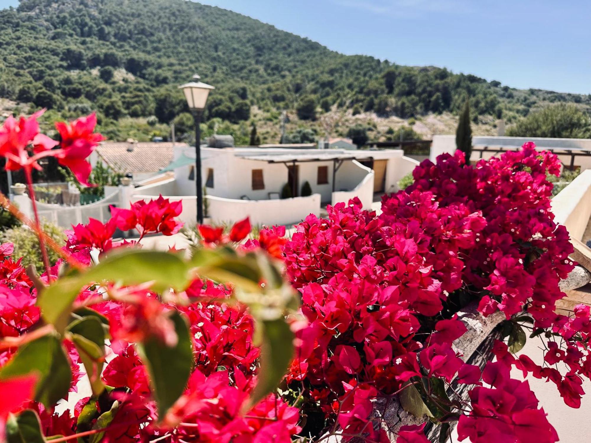 Finca Ocha - Calblanque Los Belones Εξωτερικό φωτογραφία